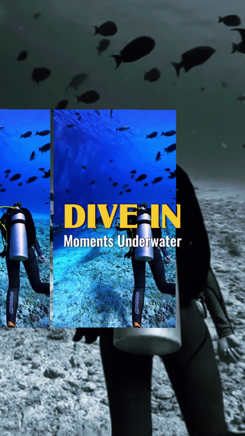 diving moments