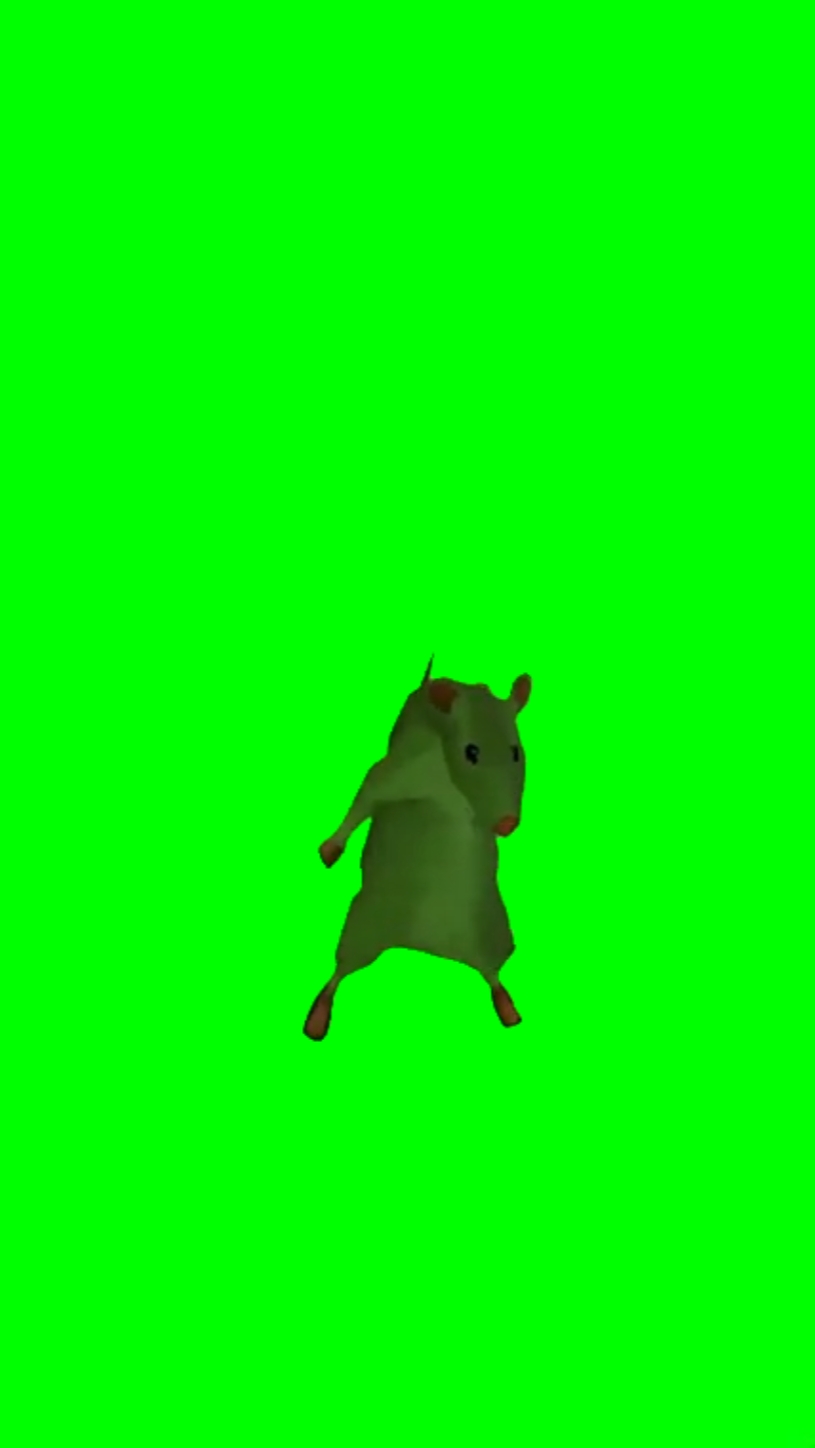 춤추는 동물