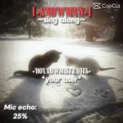 Snow man