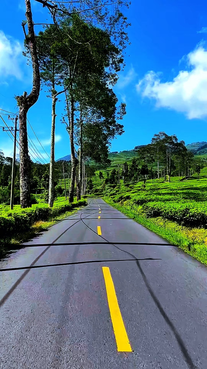 6 video travel HD 