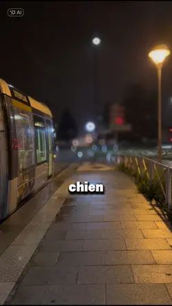 Motivation Français 