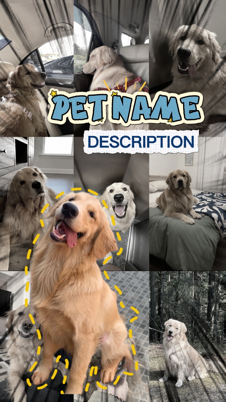 INTRODUÇÃO DE ANIMAIS DE ESTIMAÇÃO