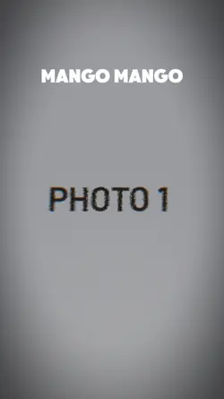 mango Mango 