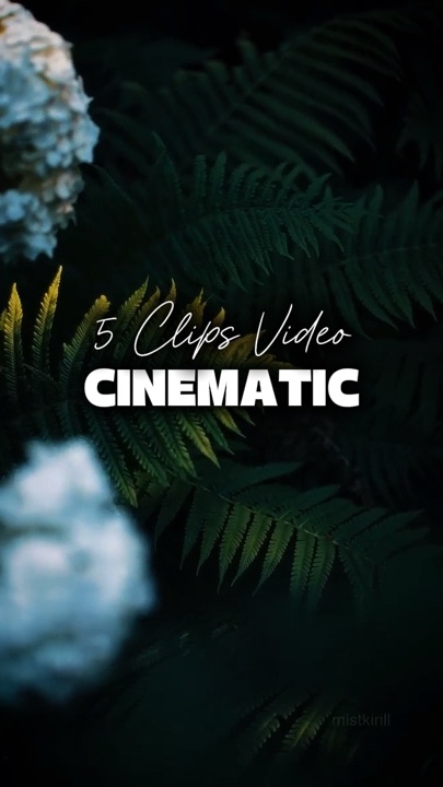 5 Mga Video Cinematic 