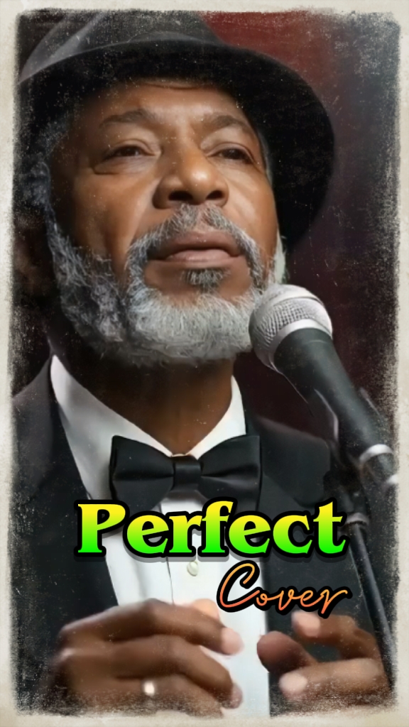 Capa Perfeita 