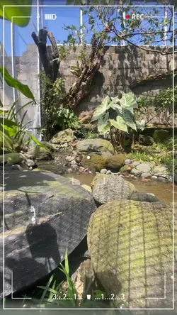 Video relaksasi