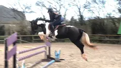 Flying 90!! ✈️😍