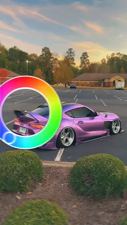 COLOUR WEEL TREND