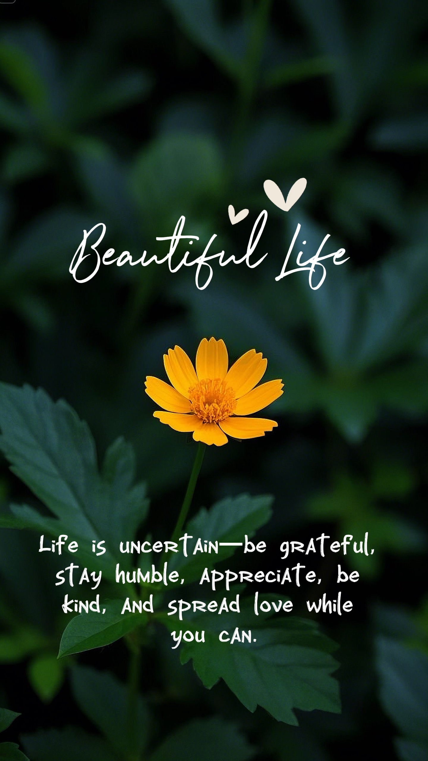 Beautiful life