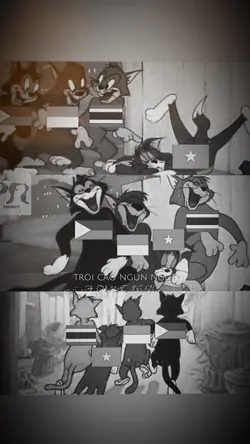 Tấm lòng cửu long