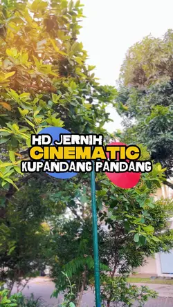 Kupandang pandang