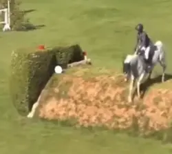 Springen