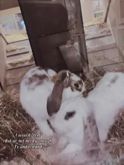 Ain’t nerdy enough 