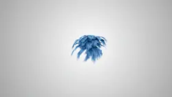 blue feathers