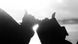 black           !౨ৎ 