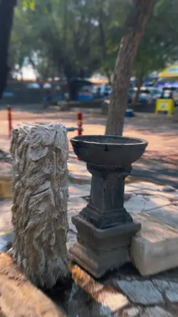 Didunia ni tenangaja