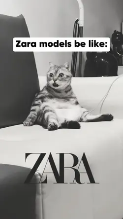 Zara Models Pet meme