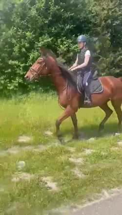 Ff op vakantie ouwe🤘