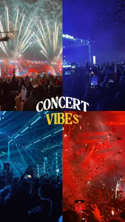 CONCERT VIBES