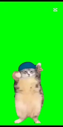 cat who dance 