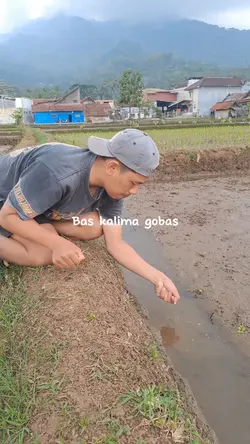 Bas kalima gobas