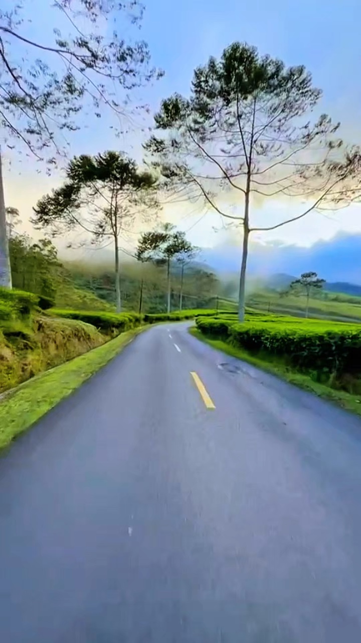 7 video HD roadtrip