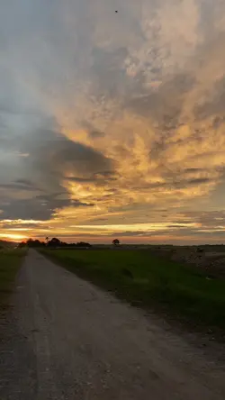 voice : Shabil Imran