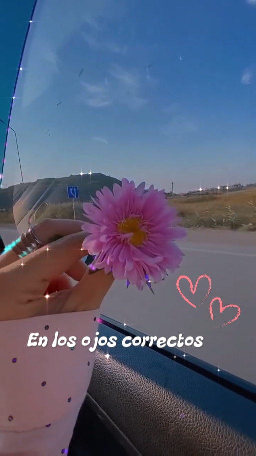 Vales la pena 