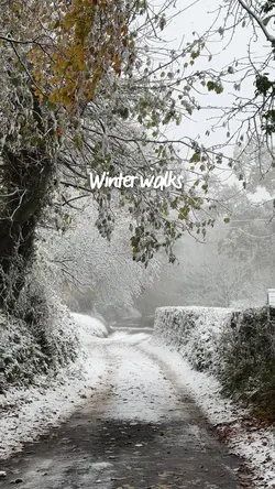 Winter walks