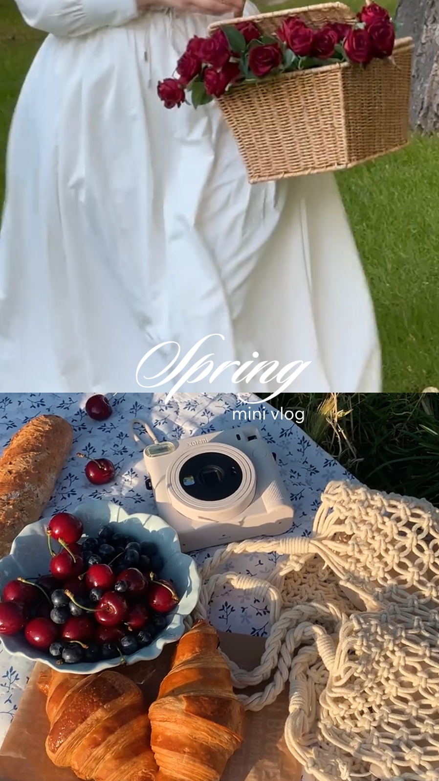 Mini vlog de printemps 