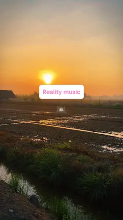 Reality music