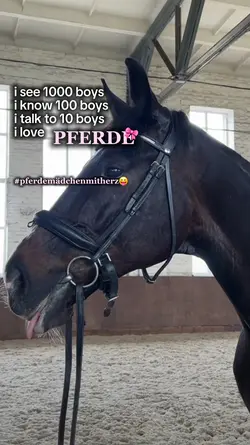 pferdemädchen