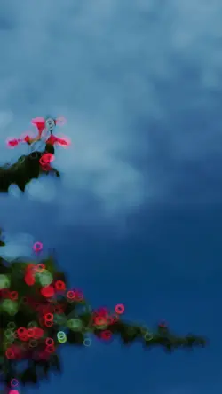Slowmotion video πΈβ¨