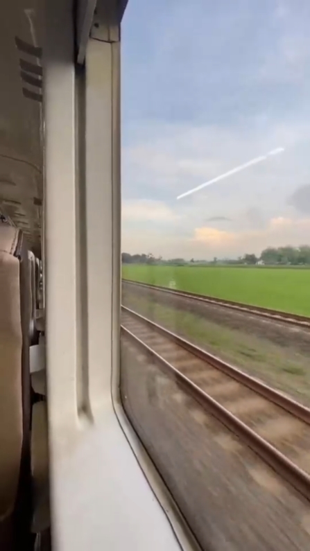ON THE TRAIN