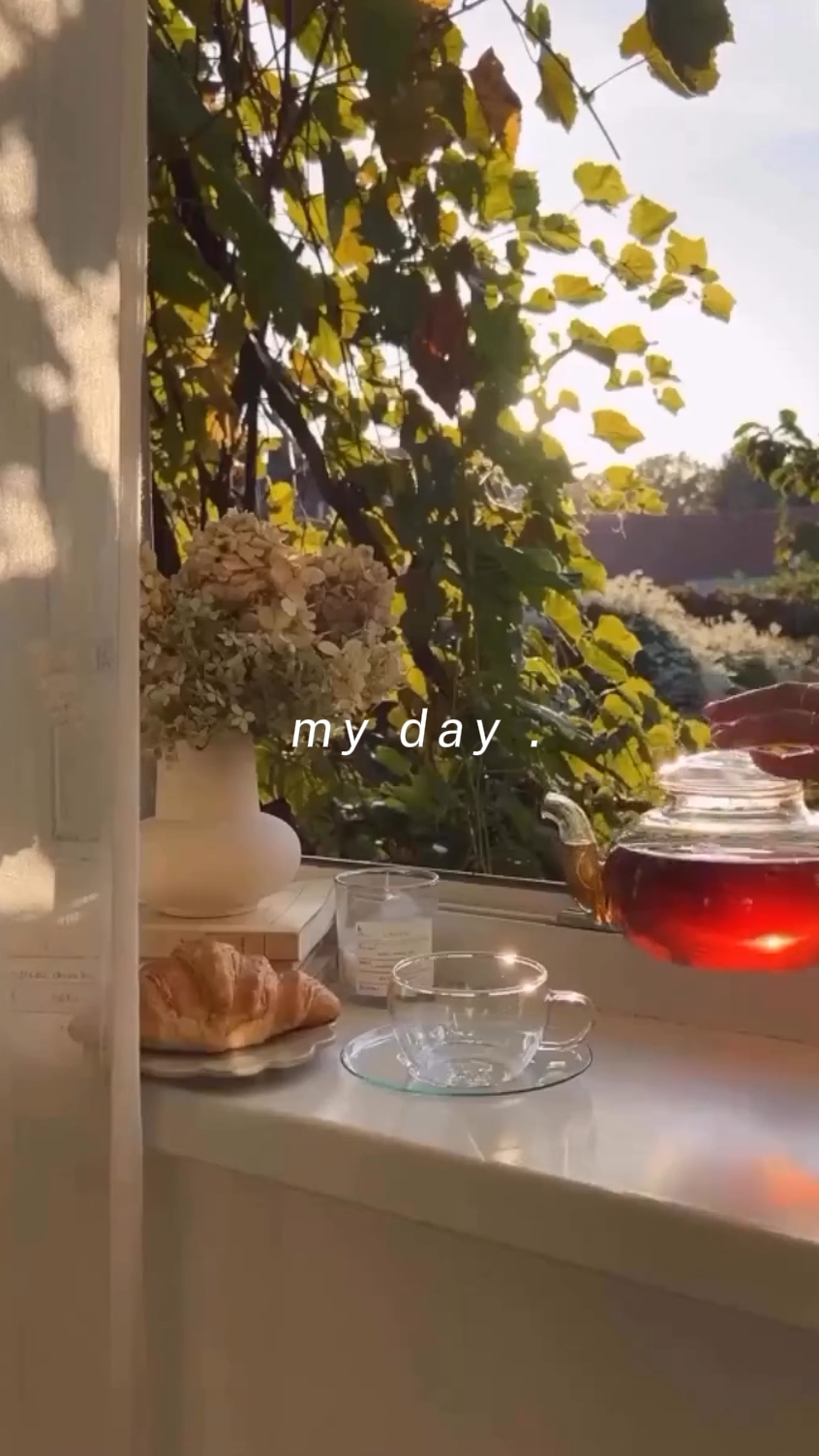 Meu dia