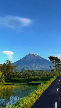 elegi esok pagi 