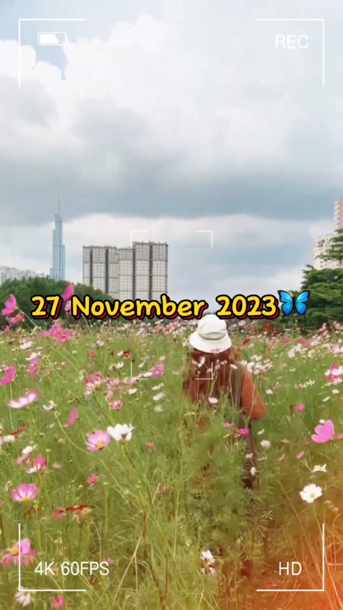 27 november 
