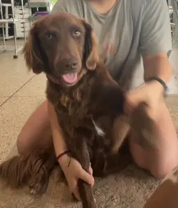 Wiggle you’re ears!