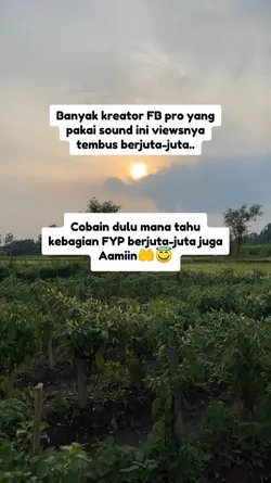 Facebook pro