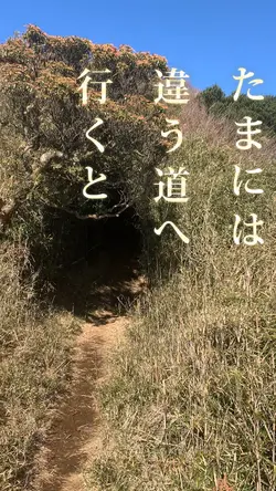日常生活 ⛰️ ordinary days