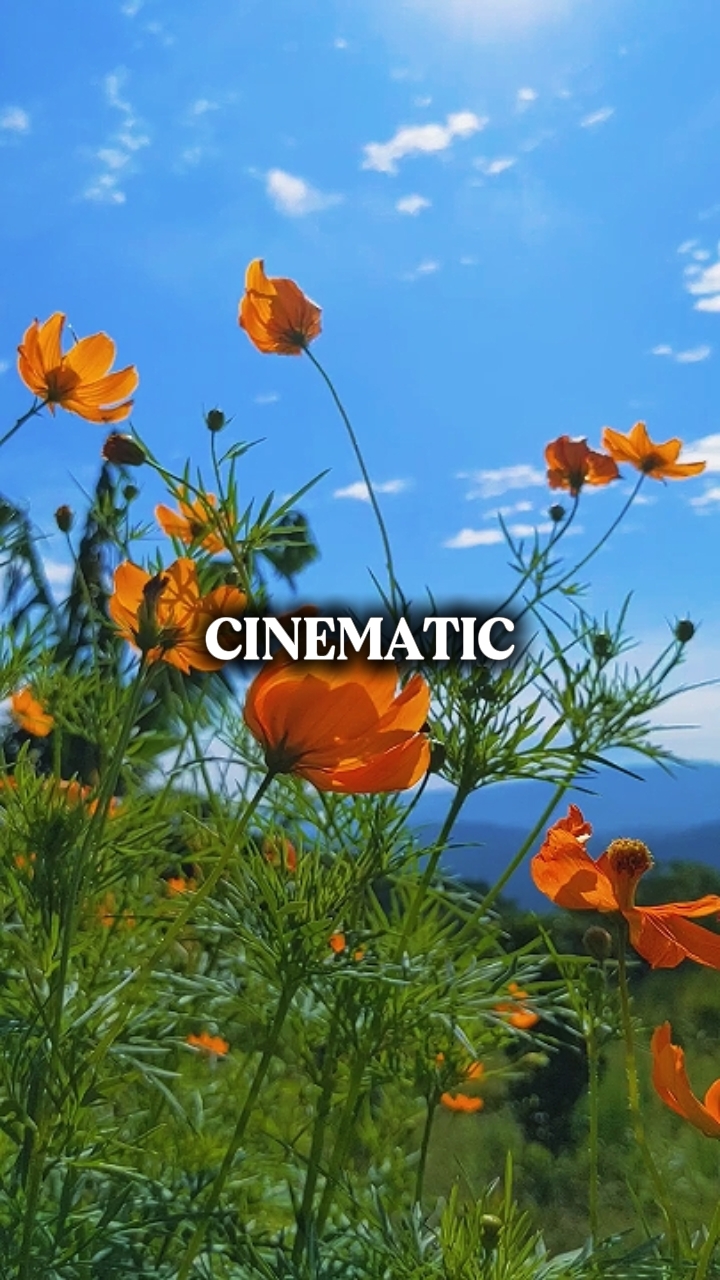 CINEMÁTICO