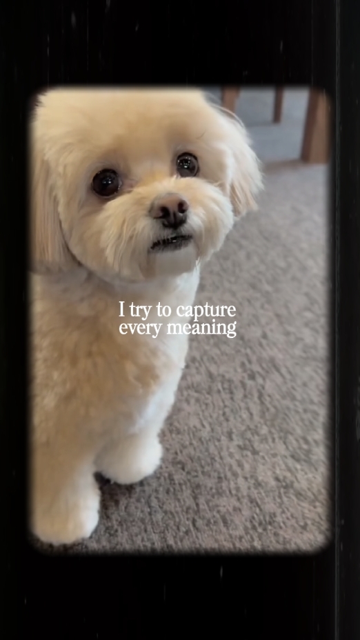 baby dog