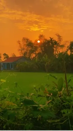 Mẫu chill yên bình