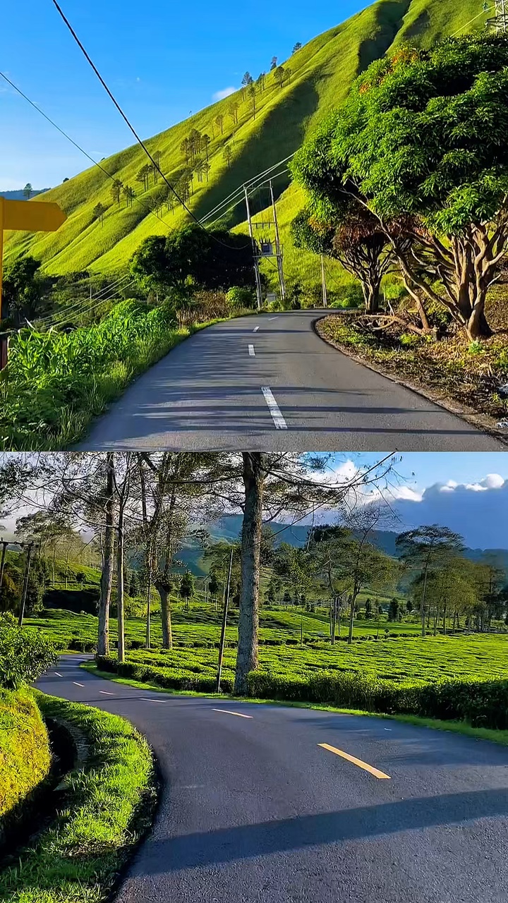 collage 2 vidéo 