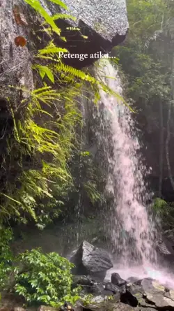 kembang sing wangi..