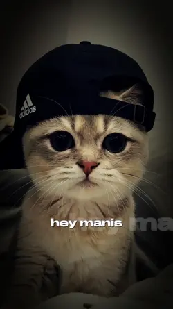 hy manis