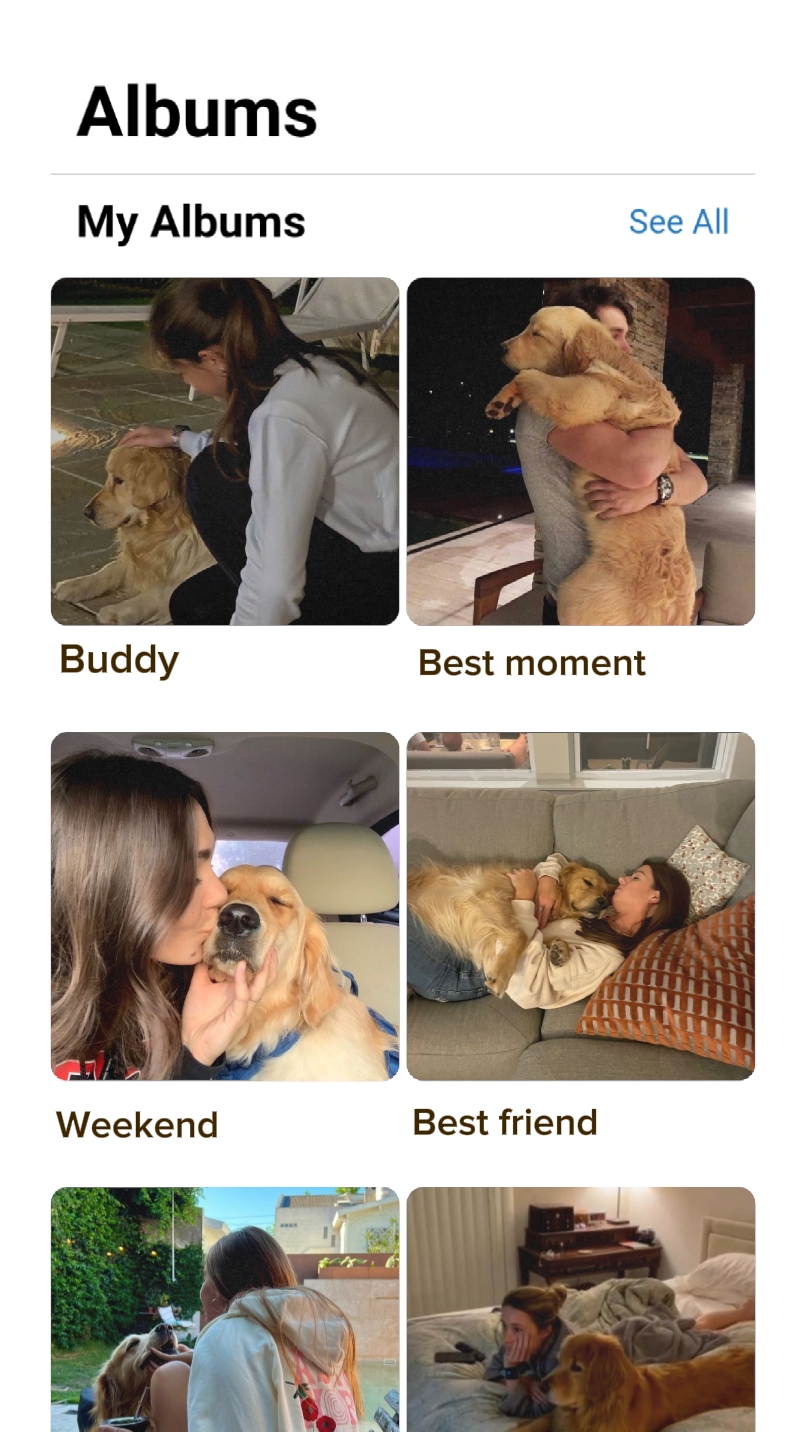 Aniversário de cachorro