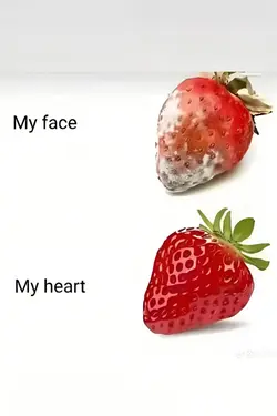 my face my heart 