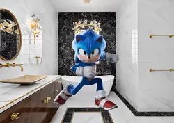 Sonic sets up knucks