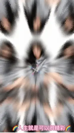 夏姐